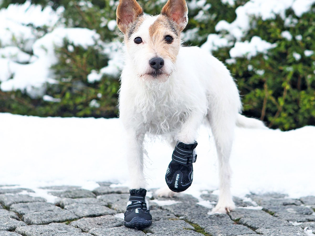 Botas protectoras Trixie para perros - Micocan Mascotas peluquería canina.